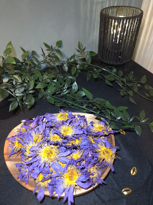 Blue lotus flowers