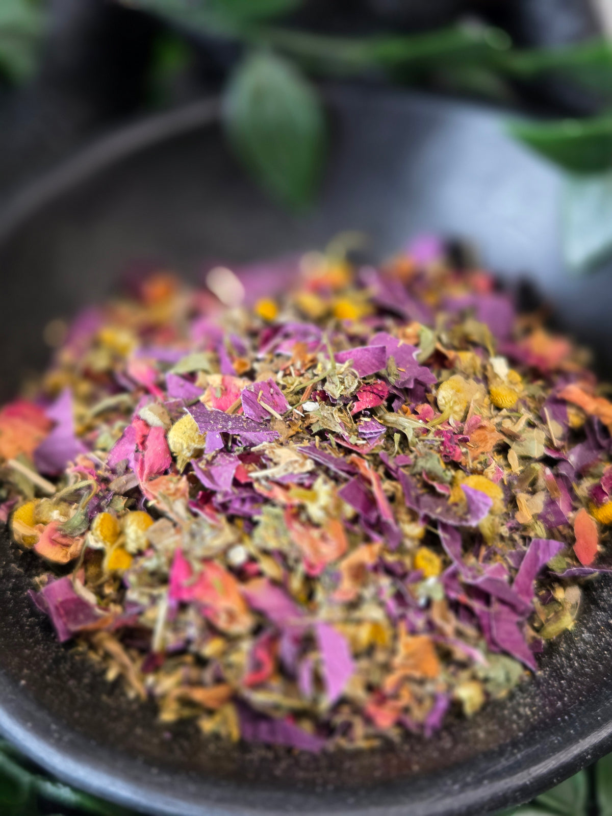 Golden Balance  tea