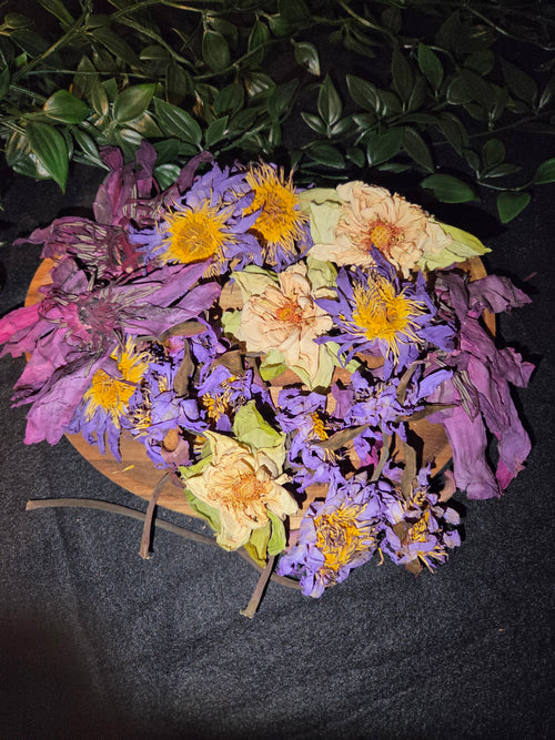 Midnight Lotus Botanical Collection