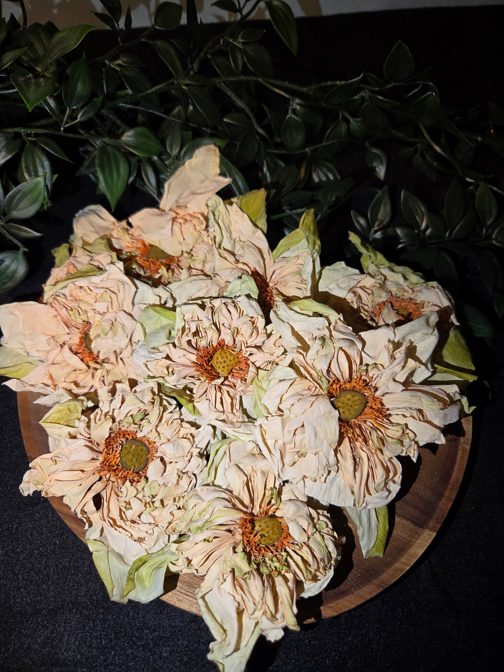 White Lotus Flowers
