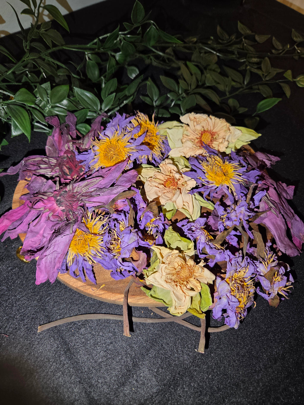 Midnight Lotus Botanical Collection