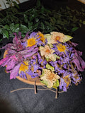 Midnight Lotus Botanical Collection